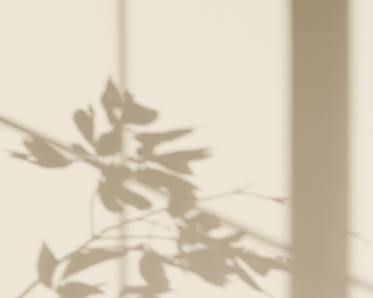 Eucalyptus, white orchids and a candle on a linen towel